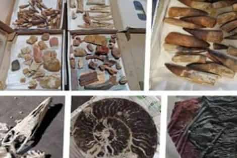 الدار البيضاء-سطات.. إحباط محاولة تصدير حوالي 200 كيلوغرام من القطع الجيولوجية