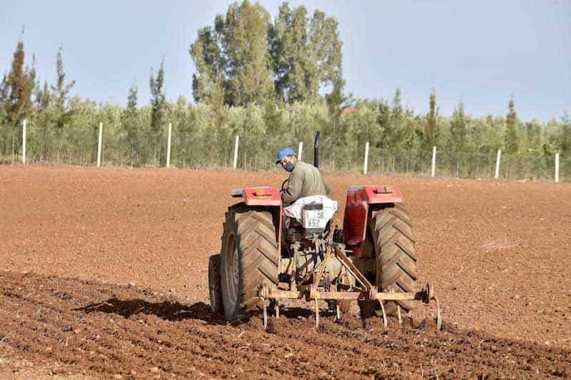 هل تحسّن المقاولات الفلاحية الصغرى ظروف العيش في المناطق القروية؟