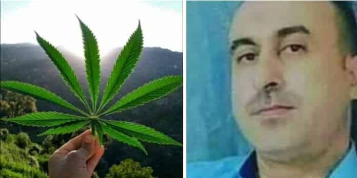 الأولوية للمناطق التاريخية في ظل مشروع تقنين الكيف جبر للضرر الجماعي وانصاف للساكنة القروية و الجبلية  .