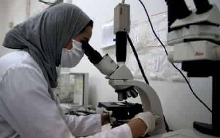 الإنتاج العلمي.. المغرب في الرتبة الأولى مغاربيا والرابعة إفريقيا