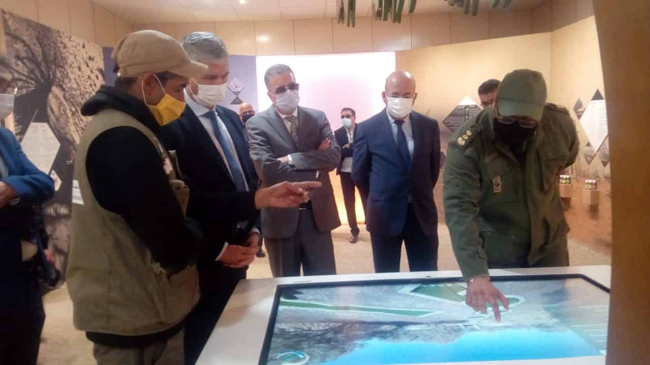 جهة سوس-ماسة: إطلاق أوراش في إطار المخطط الجهوي للغابات