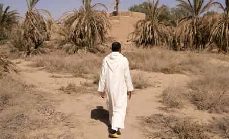 القرض الفلاحي يعبئ كل الموارد لتجاوز فترة الجفاف