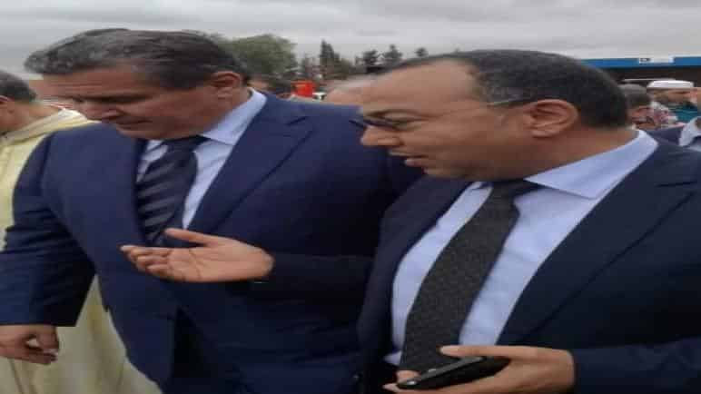 الجبهة:وزارة الفلاحة خصصت 130 مليون درهم لدعم المربين المتضررين من اختفاء طوائف النحل