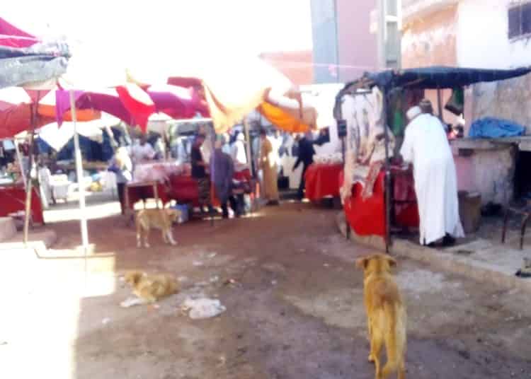 الكلاب الضالة تهدد الأمن الصحي لمرتادي السوق الاسبوعي ببلفاع