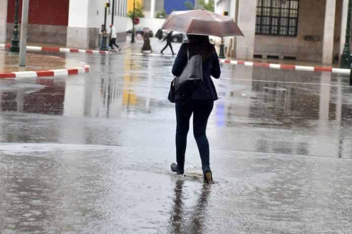 الأرصاد الجوية.. أجواء ممطرة ورعد في هذه المناطق