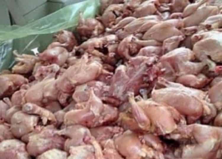 سلطات شيشاوة تشن حربا على المواد الاستهلاكية الفاسدة