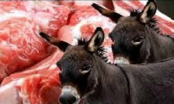 العثور على بقايا عظام بغل مسلوخة بضواحي تيزنيت￼
