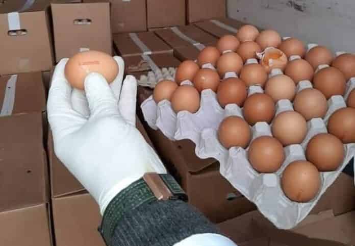 لجنة ضبط الأسعار تنقذ مدينة من كارثة « البيض الفاسد »