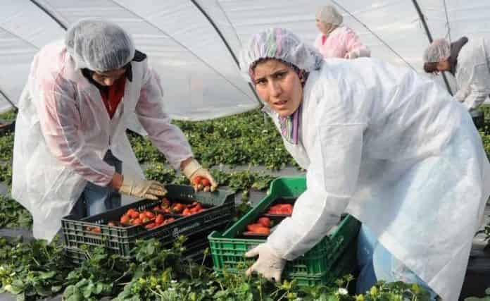 إسبانيا تطلق مشروعا اجتماعيا لمواكبة العاملات المغربيات