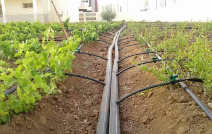 إسرائيل تقرر مواكبة المغرب لإيجاد حلول ذكية لأزمة المياه