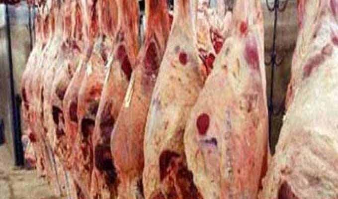 خطير .. حجز كمية مهمة من اللحوم الفاسدة باولاد تايمة
