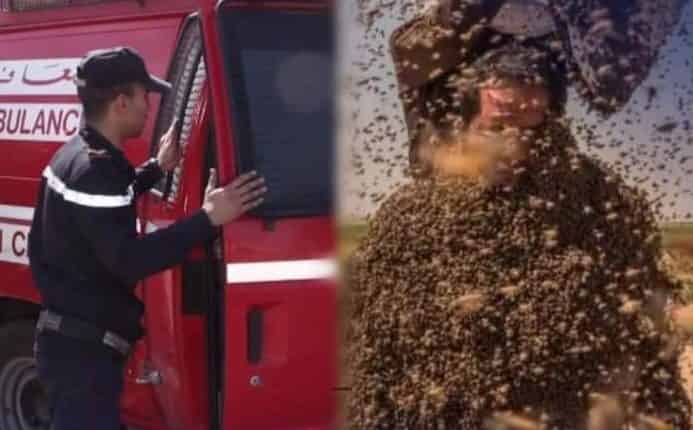 وفاة شخص هاجتمته أسراب من النحل