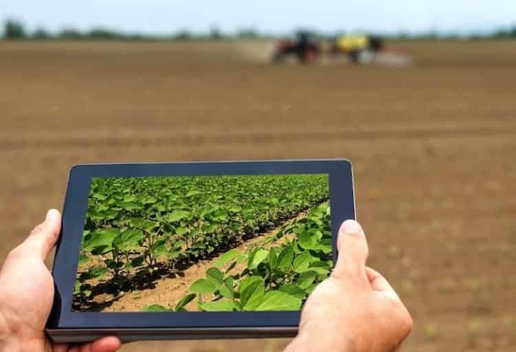  أزمة الطاقة تدفع بريطانيا إلى التفكير في نقل أنشطتها الزراعية نحو المغرب￼