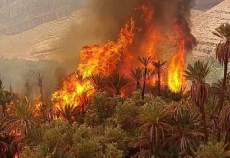 مطالب بفتح تحقيق في أسباب حريق واحة “إيمي وكادير” بفم الحصن￼