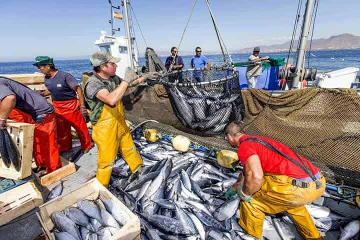إسرائيل.. استعراض تجربة المغرب الرائدة في مجال الحفاظ على الموارد البحرية￼