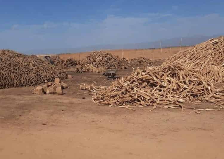 إنتاج “الفاخر” يغضب ساكنة قرب تارودانت