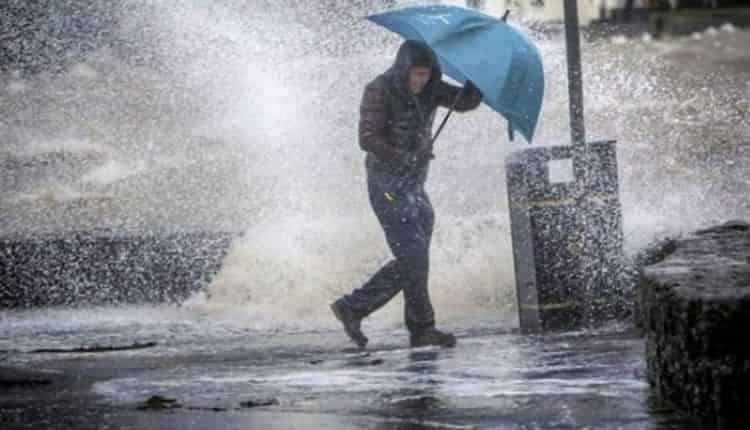 أحوال الطقس غدا الجمعة.. أمطار مرتقبة في هذه المناطق￼