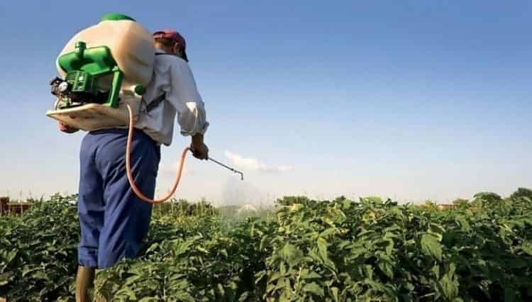 بعد الضجة في أوروبا..المغرب يشدد المراقبة على المبيدات الزراعية