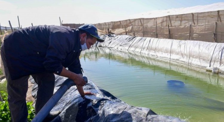  إشكالية الماء في المغرب.. حرص ملكي وتوجيهات مستمرة للحكومة لمواجهة الوضع￼