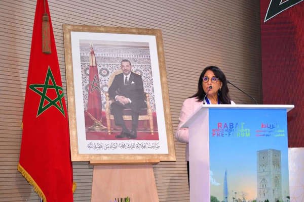 بوعياش : بعض الديمقراطيات تستخدم حقوق الإنسان كسلاح في رهانات سياسية عابثة