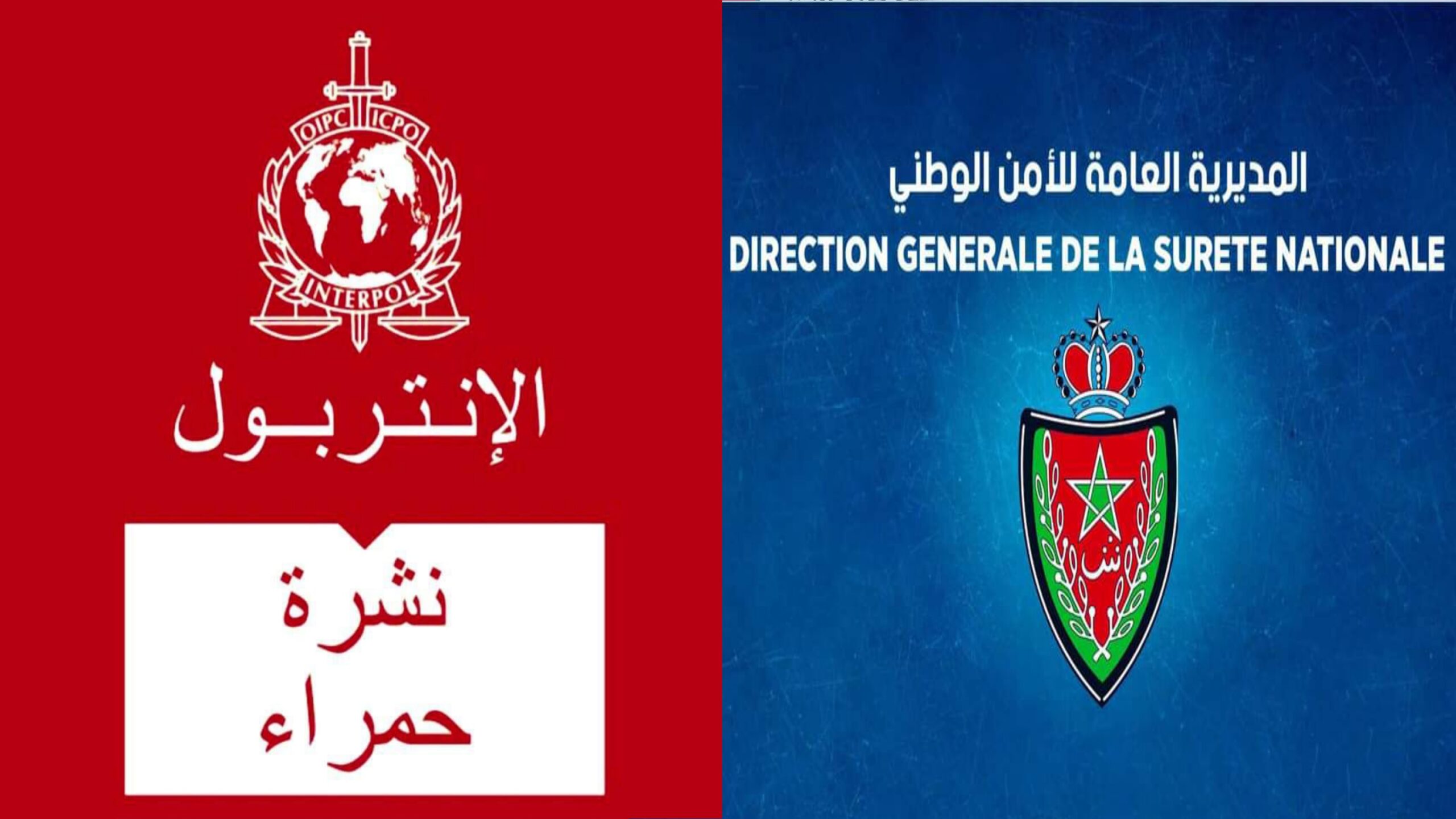 “نشرة حمراء” توقع بتركي في يد شرطة ايت ملول
