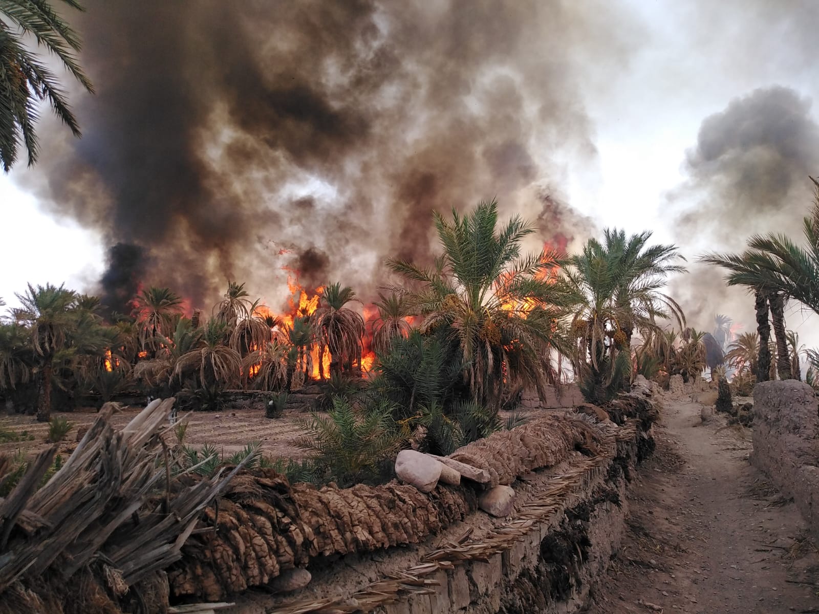 هذه هي المناطق المعرضة للحرائق بالمغرب (المياه والغابات)