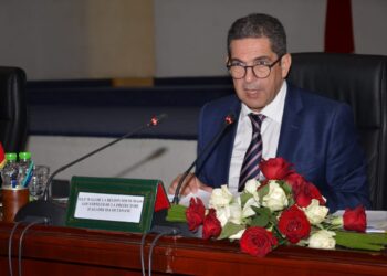 “رؤية مستقبلية لتطوير المهارات: جهود تكاملية لربط التكوين المهني بمشاريع الاستثمار بجهة سوس ماسة”