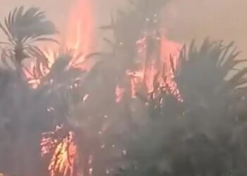 حريق ضخم في واحة تودغى بإقليم تنغير