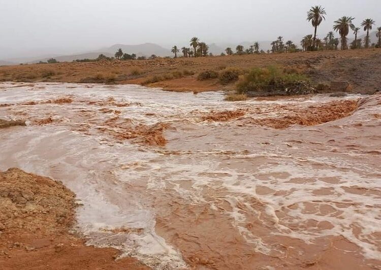 مديرية الأرصاد الجوية توضح أسباب التقلبات الأخيرة والسيول الجارفة ببعض المناطق