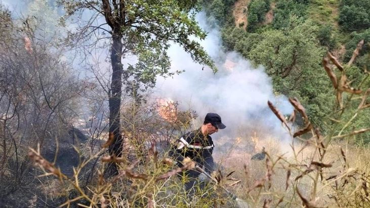انخفاض ملحوظ في عدد حرائق الغابات والمساحات المتضررة بالمغرب خلال سنة 2024