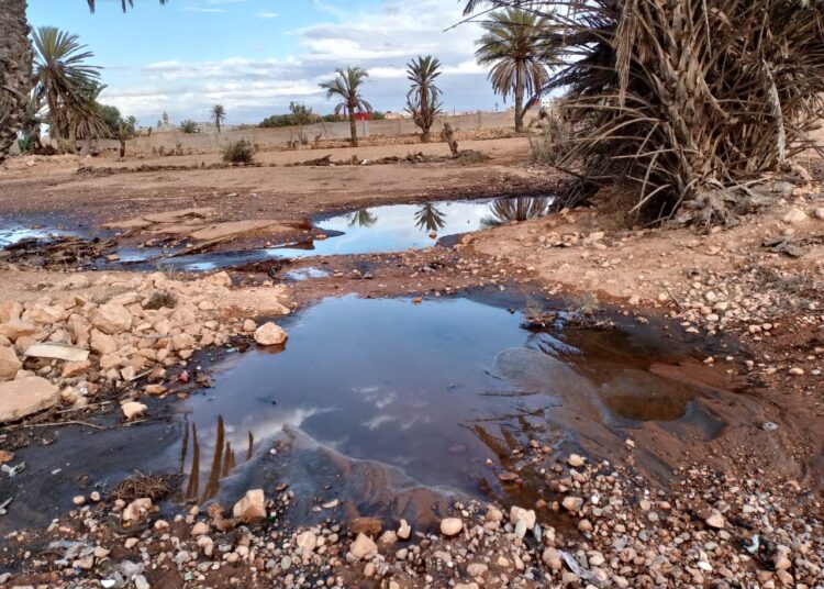 بالصور .. الواد الحار يغرق حقول دوترگا بتيزنيت !