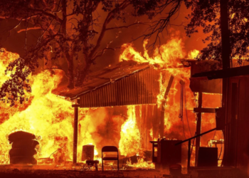 حرائق لوس أنجلوس تخلف 11 قتيلا، والنيران تأتي على أزيد من 14 ألف هكتار