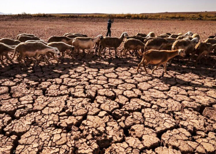 مسلسل الخصاص متواصل..تراجع في حجم الواردات المائية السطحية في العديد من الأحواض المائية
