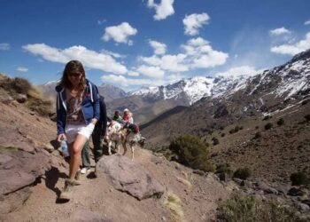 ابتزاز سياح أجانب يقود إلى اعتقال مرشدين مزيفين