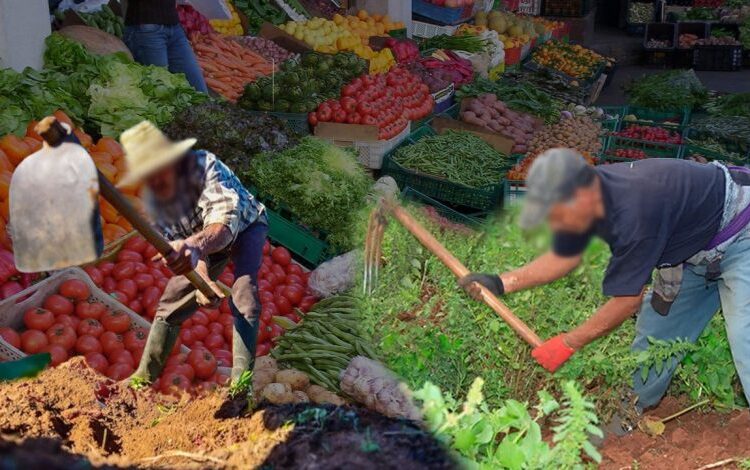 فريق الأصالة والمعاصرة النيابي يطالب بإعفاء الفلاحين من الديون المتراكمة