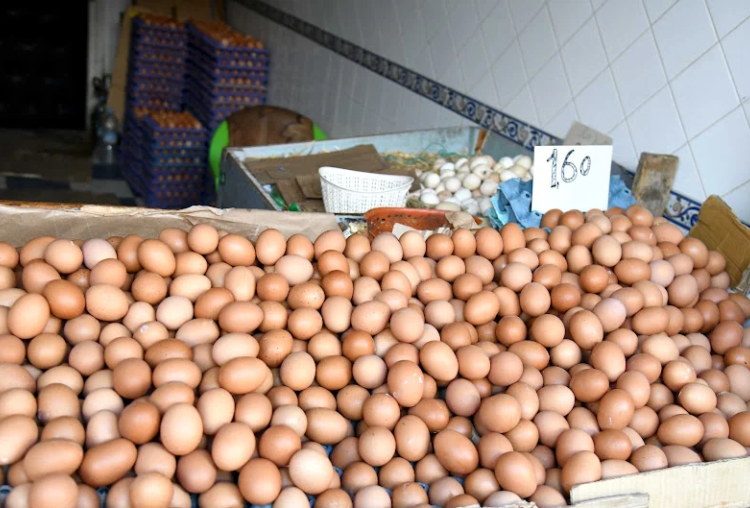 مع اقتراب شهر رمضان.. هل تتوفر كميات كافية من البيض لتلبية حاجيات المغاربة؟ 