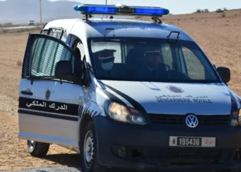 الدرك الملكي يطيح بنائب وكيل مزور بمراكش بعد ان كشفته نادلة