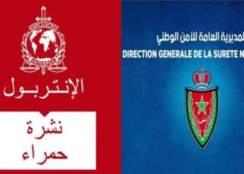 بفضل التعاون الأمني الدولي.. توقيف أجنبي متورط في قضايا إجرامية بطنجة