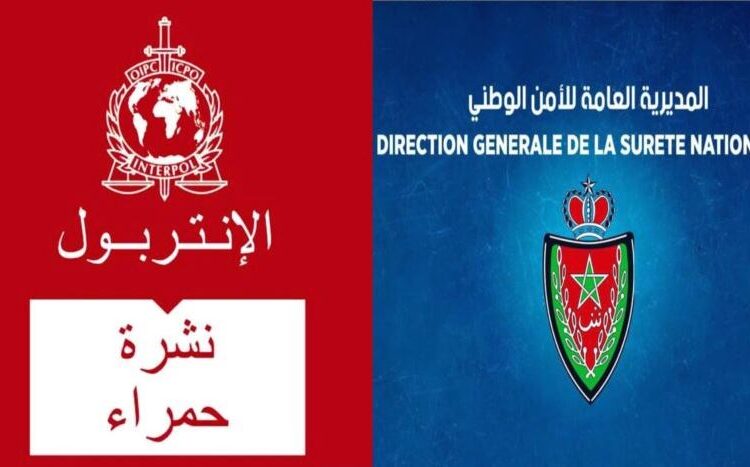 بفضل التعاون الأمني الدولي.. توقيف أجنبي متورط في قضايا إجرامية بطنجة