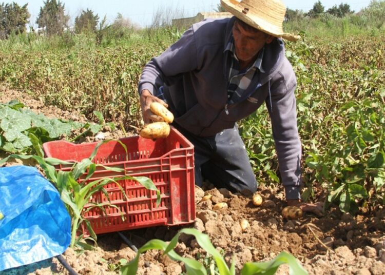 منسوب السدود يرتفع بنسبة 10%.. والتحديات المائية لا تزال قائمة