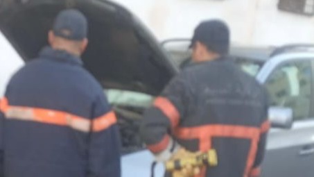 أفعى تقتحم إقامة سكنية بأكادير