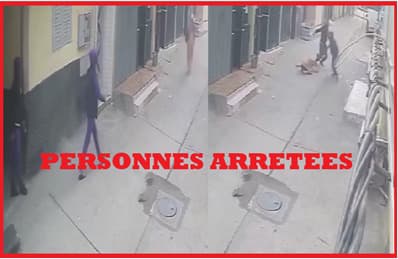 سلا.. الأمن يعتقل شابين من ذوي السوابق تورطا في اعتراض سبيل سيدة وسرقتها