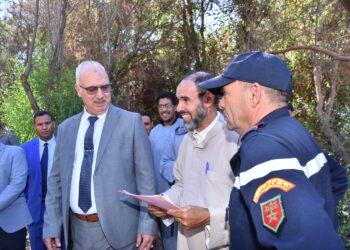 تزنيت: عامل الإقليم يوجه بتعويض المتضررين وتعميق التحقيقات في حرائق أملن