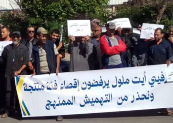 حرفيو آيت ملول يستنجدون بجلالة الملك بعد حذف المنطقة الحرفية من تصميم التهيئة:صرخة من أجل الإنصاف والكرامة المهنية