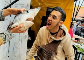 سخونية الرأس كترجع بالبرودة … توقيف “مول الحوت” واخضاعه للتحقيق !!