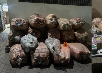 تنسيق أمني يجهض محاولة تهريب واسعة للمخدرات ويكشف لوحات ترقيم مزورة ومبحوث عنهم