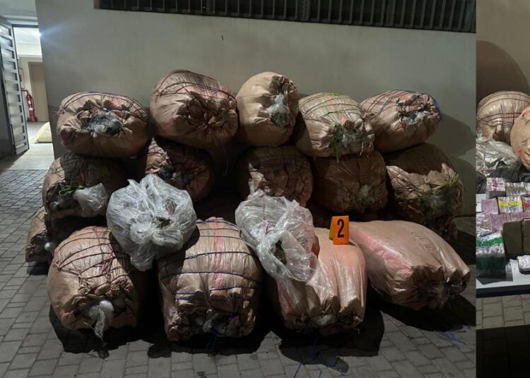 تنسيق أمني يجهض محاولة تهريب واسعة للمخدرات ويكشف لوحات ترقيم مزورة ومبحوث عنهم