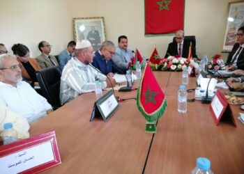 عامل إقليم اشتوكة آيت باها في زيارة ميدانية لهلالة: تركيز على التنمية المحلية ومعالجة تحديات الماء والتجهيزات الأساسية