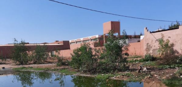 لحوم سيدي بيبي: شهية الطاجين في مواجهة شبح التلوث.. هل صحة المستهلك في خطر؟