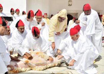 قرار ملكي حكيم: إلغاء شعيرة الدبح في عيد الأضحى يجسد تلاحم العرش والشعب